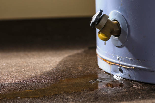 Best Flood damage cleanup  in Camp Wood, TX