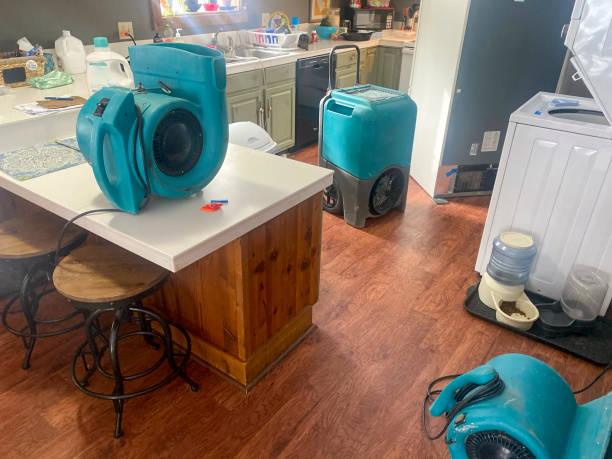 Best 24/7 water damage repair  in Camp Wood, TX