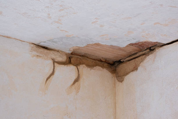 Best Carpet water damage restoration  in Camp Wood, TX